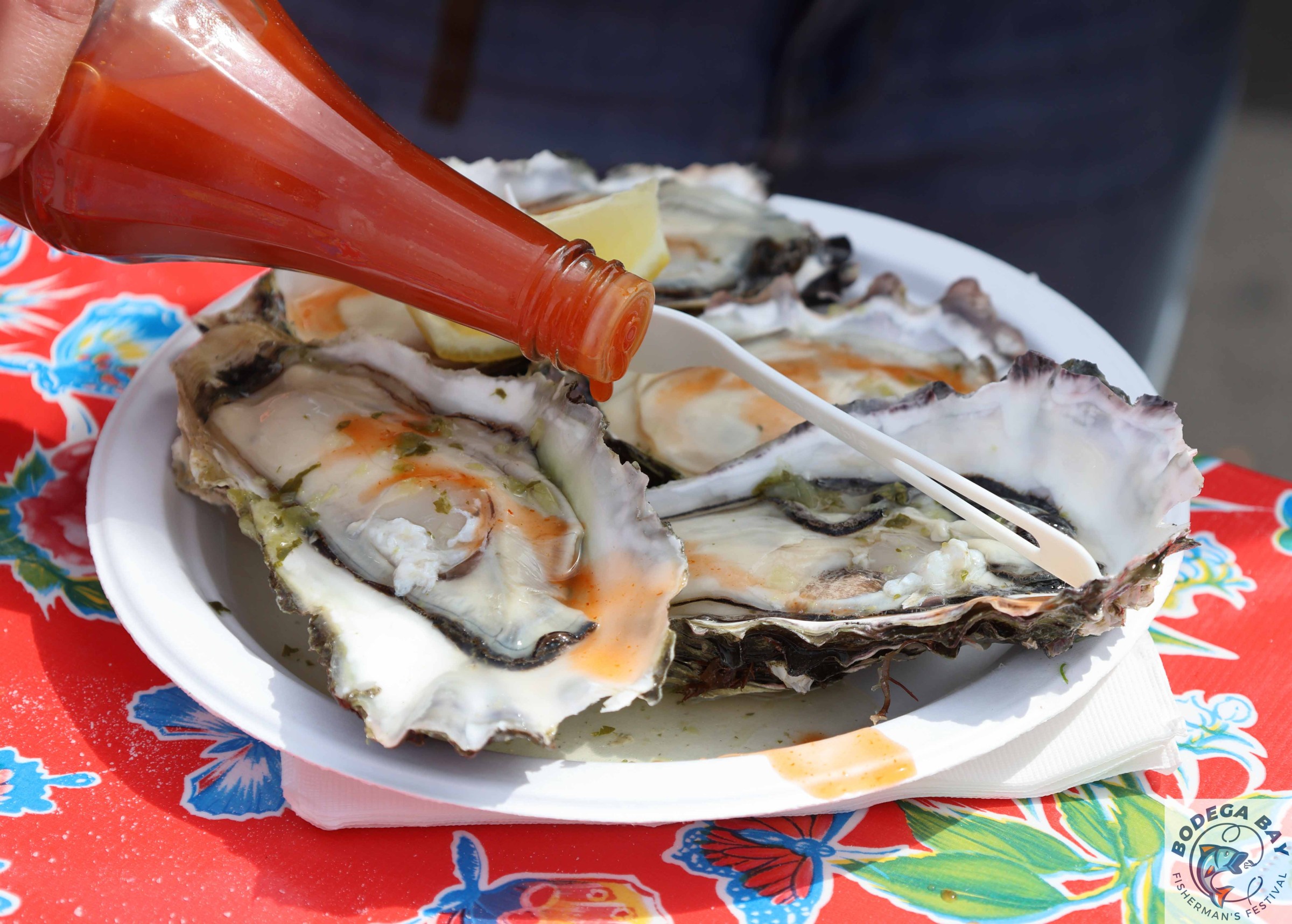 FOOD-bbfishfest202617