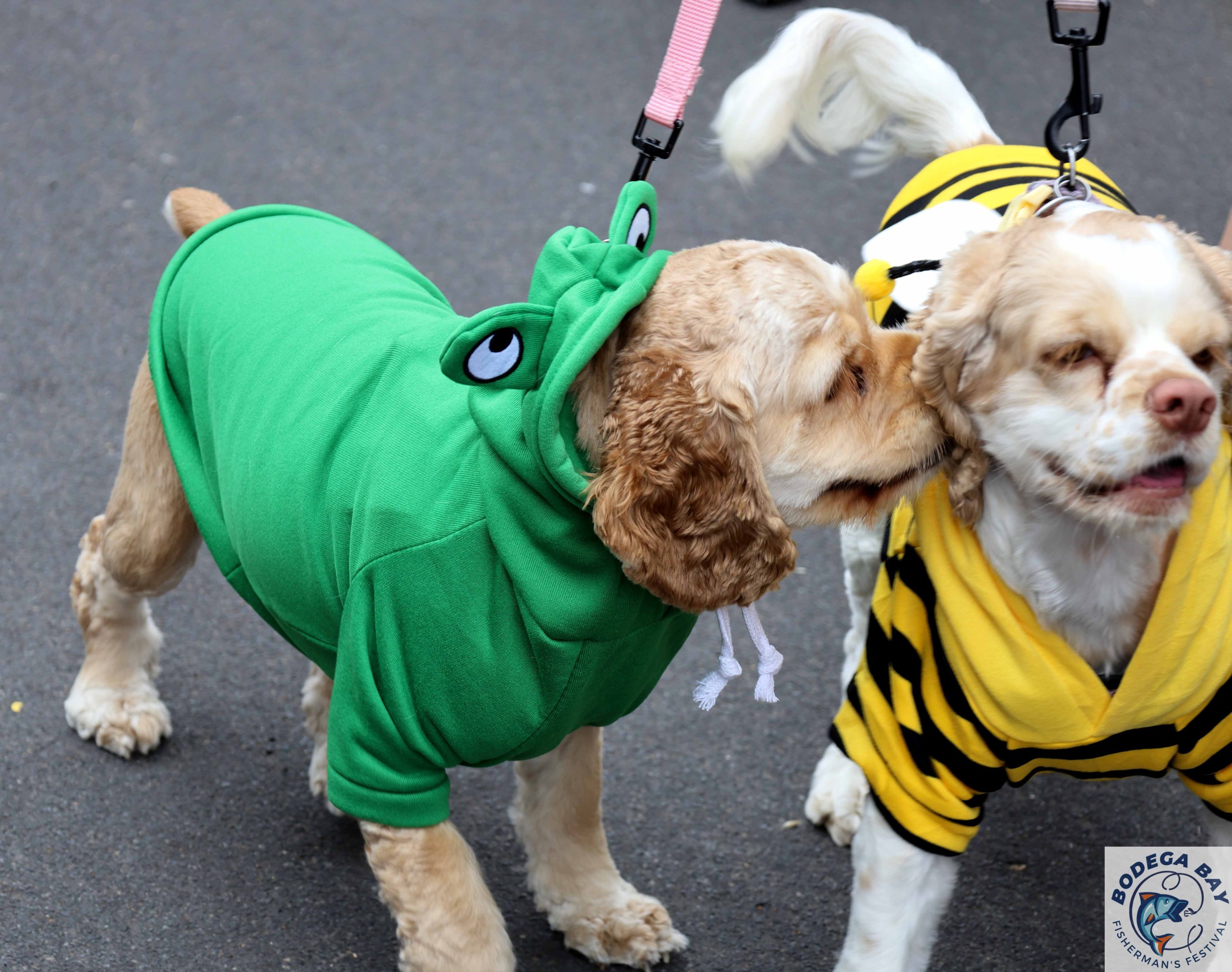 PEOPLEPETS-bbfishfest202614