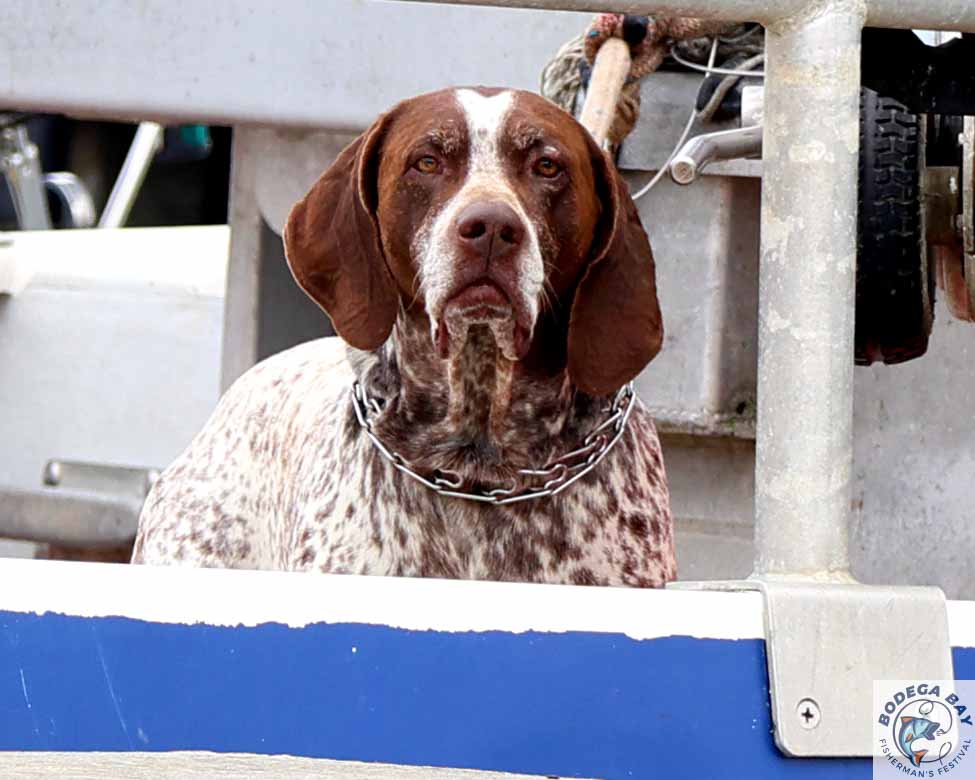 PEOPLEPETS-bbfishfest202618